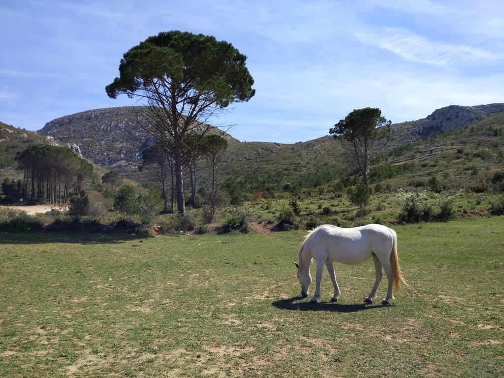 Apartamento Lliris Sol L'Estartit Εξωτερικό φωτογραφία
